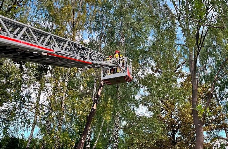 Drzewa na drogach, połamane konary. 27 interwencji strażaków