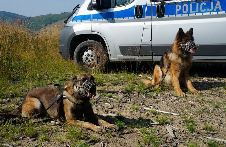 Czworonożni przyjaciele policjantów