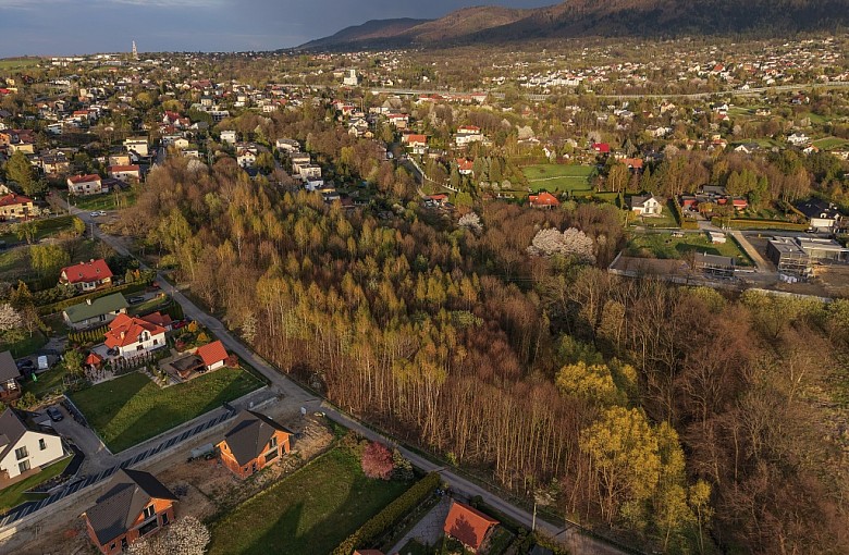 Lipnik mówi „nie” zabudowie. Mieszkańcy walczą o ostatni duży zielony teren