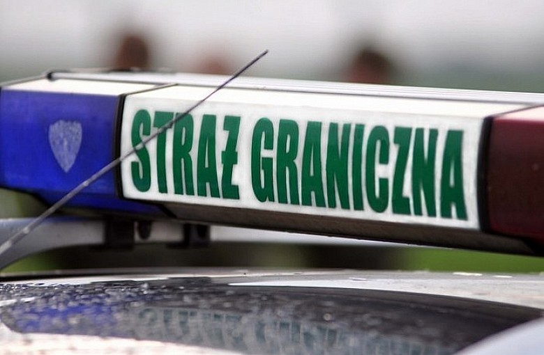 Pracowali nielegalnie