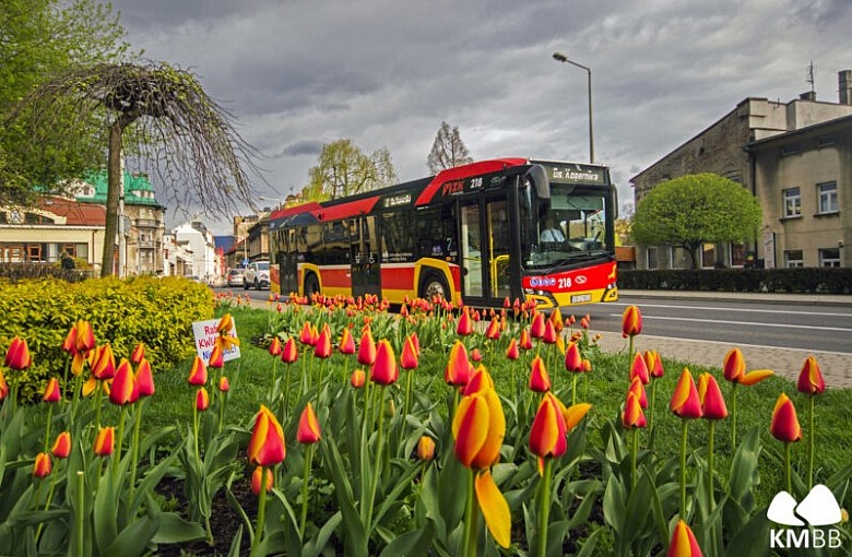 MZK  Bielsko-Biała: 7 kwietnia bezpłatne autobusy