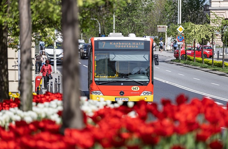 MZK Bielsko-Biała. Autobusy wracają do tradycyjnego rozkładu jazdy