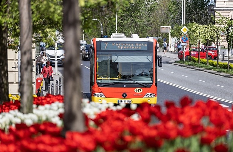 Agresja wobec dzieci w autobusie MZK. Spółka zapowiada konsekwencje i zawiadomienie o przestępstwie
