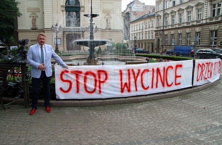 Miasto zrobi wszystko, by do wycinki nie doszło