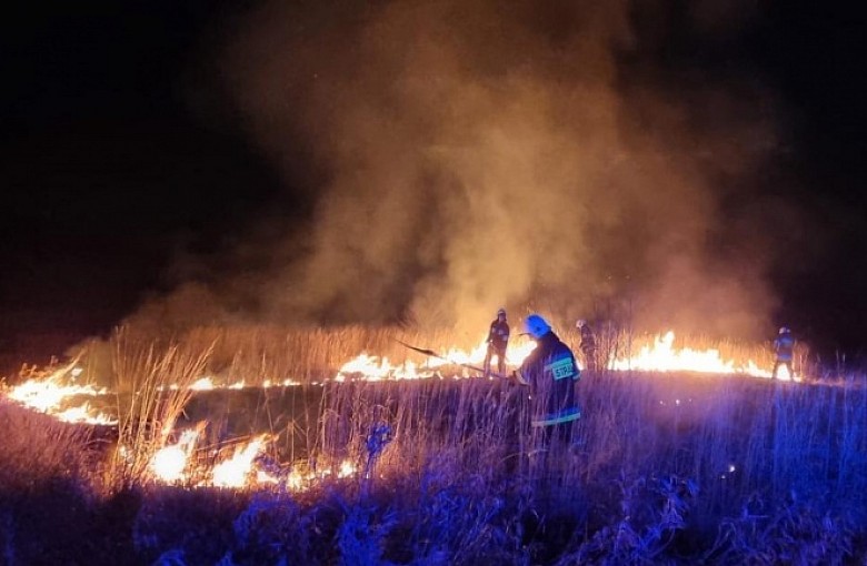 Strażacy apelują, aby nie wypalać traw