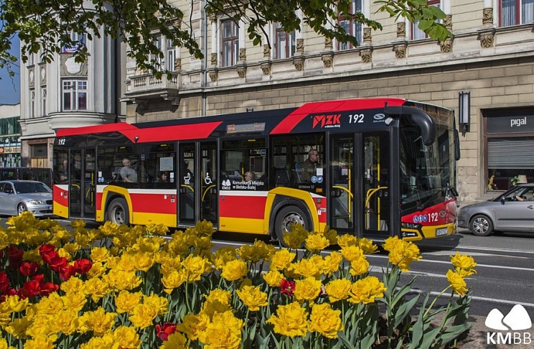 pał w autobusie? Szukaj płatka śniegu!