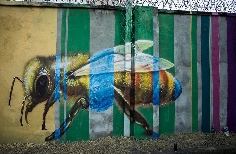 Kolorowy mural