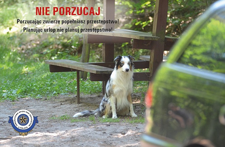 Nie Porzucaj - wideo