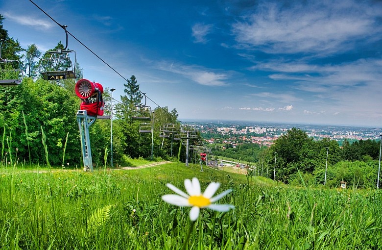 Dębowiec Letnią Porą