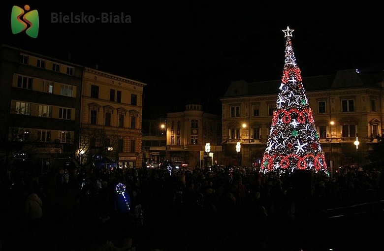 Rozbłysła świąteczna choinka