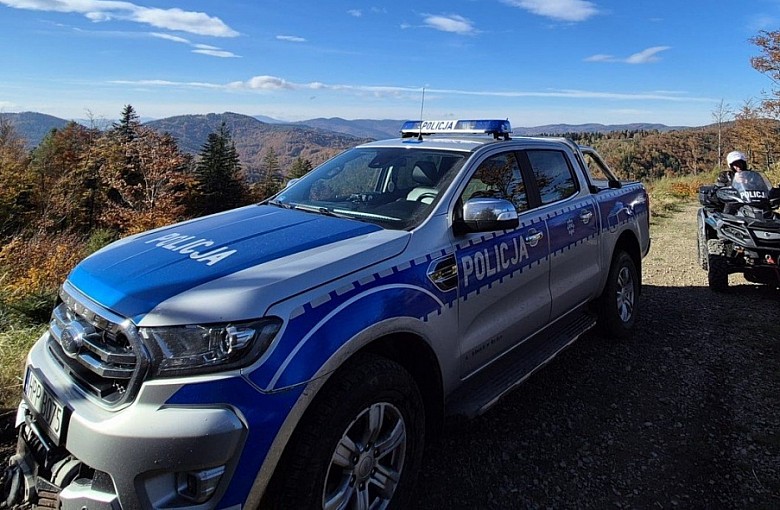 Nielegalna wycinka choinek grozi surowymi konsekwencjami