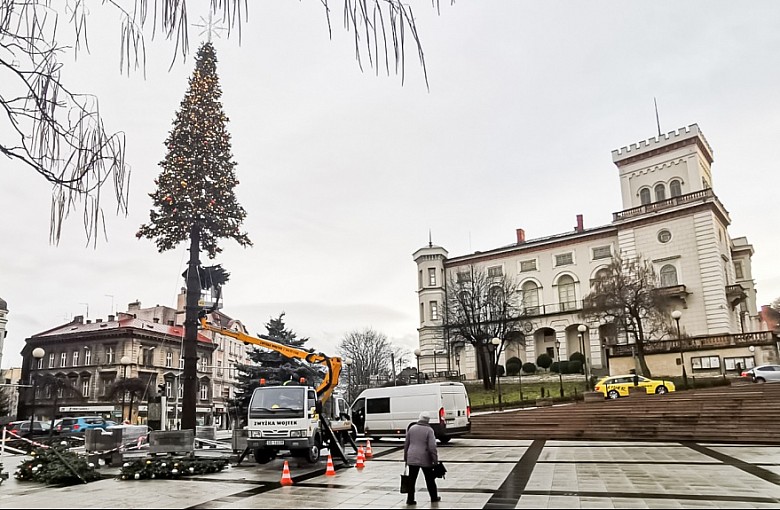 Bielsko-Biała: Uroczyste rozświetlenie choinki miejskiej