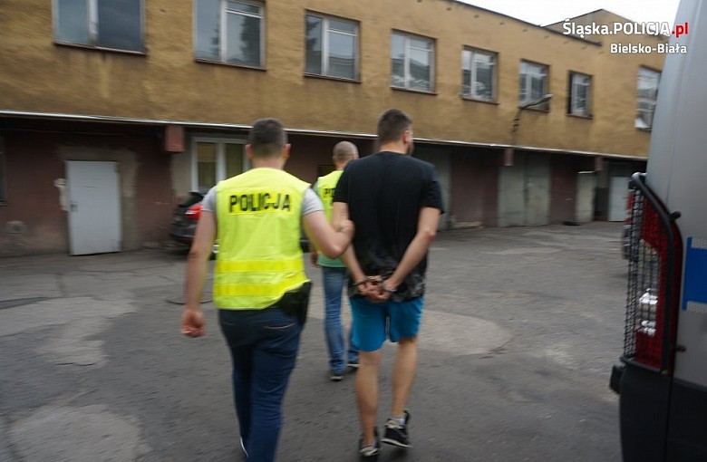 Policjanci zlikwidowali plantację marihuany