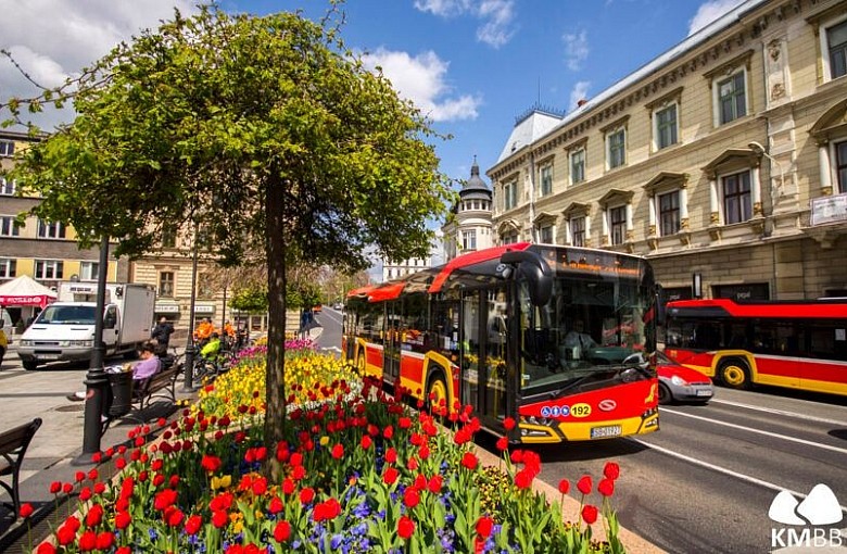 MZK Bielsko-Biała. Wracają podstawowe trasy przejazdu 6 linii autobusowych