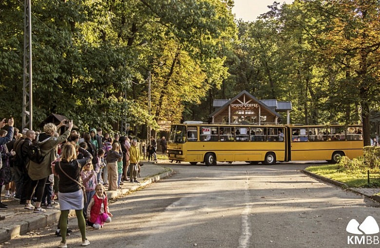 Ikarus 280 na ulicach Bielska-Białej. Tłumy chętnych do podróży