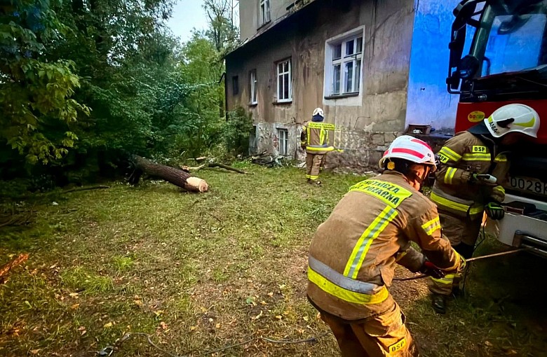 Powalone drzewa, zablokowane drogi i zagrożenie dla pieszych. Strażacy interweniowali 54 razy