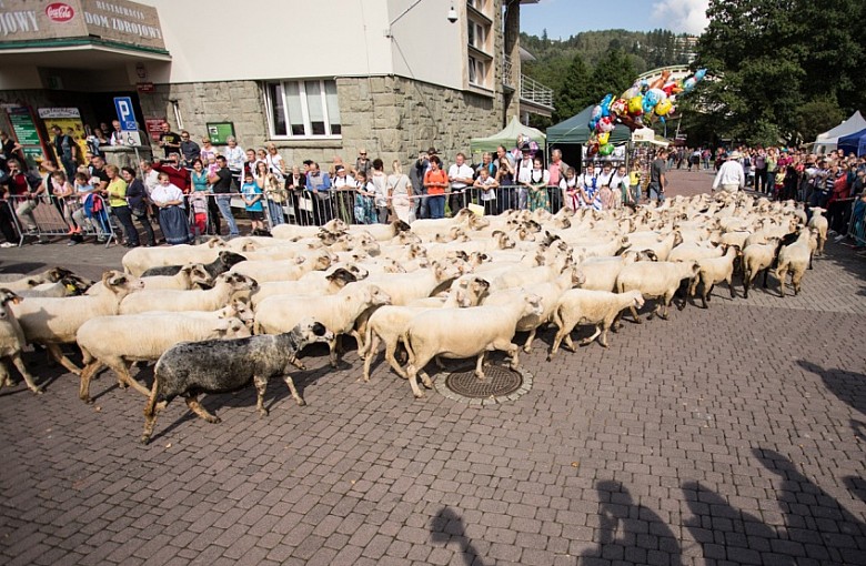 Wiślańskie Dożynki i Święto Miodu