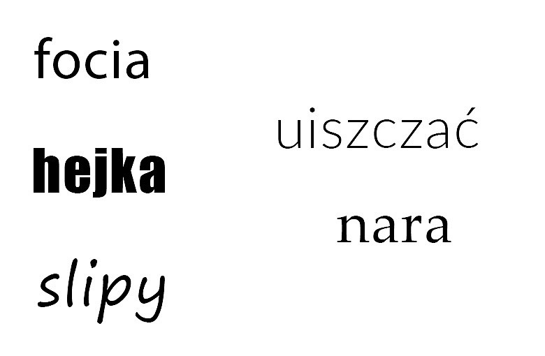 Focia, uryna, a może słodziak?