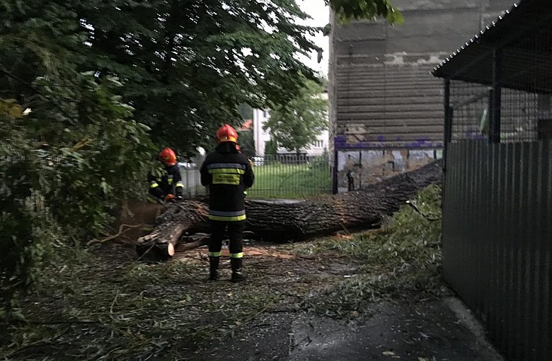 Powtórka z wczoraj?