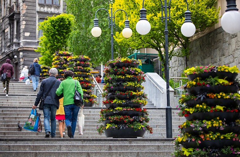 Bielsko-Biała. Kwiatowe wieże na schodach
