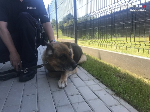 Miejsce Aresa zastąpił kilka tygodni temu Dragon